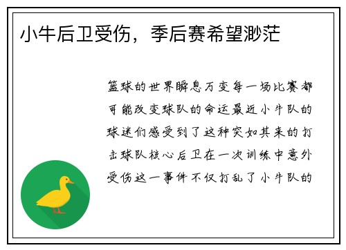 小牛后卫受伤，季后赛希望渺茫