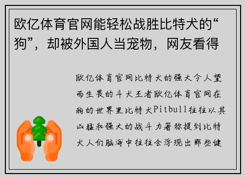 欧亿体育官网能轻松战胜比特犬的“狗”，却被外国人当宠物，网友看得瑟瑟发抖